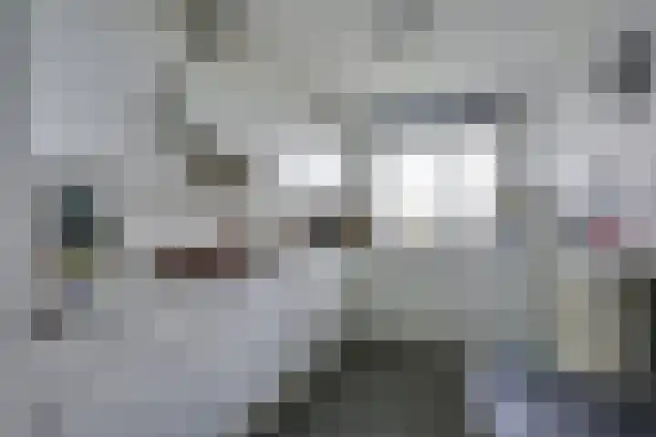 Ravellaan 242 Utrecht thumbnail 4