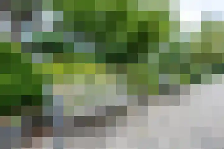 Ravellaan 242 Utrecht thumbnail 40