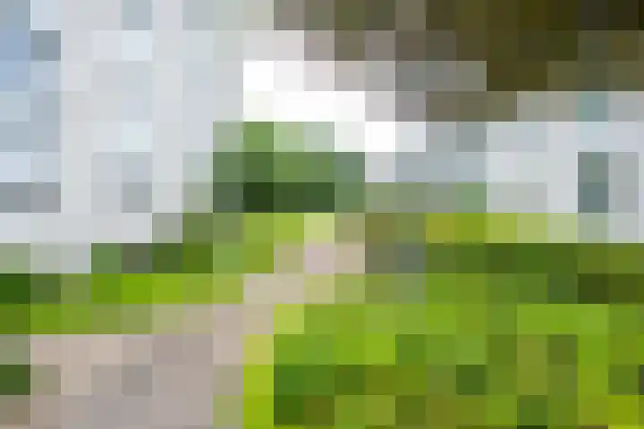 Ravellaan 242 Utrecht thumbnail 41