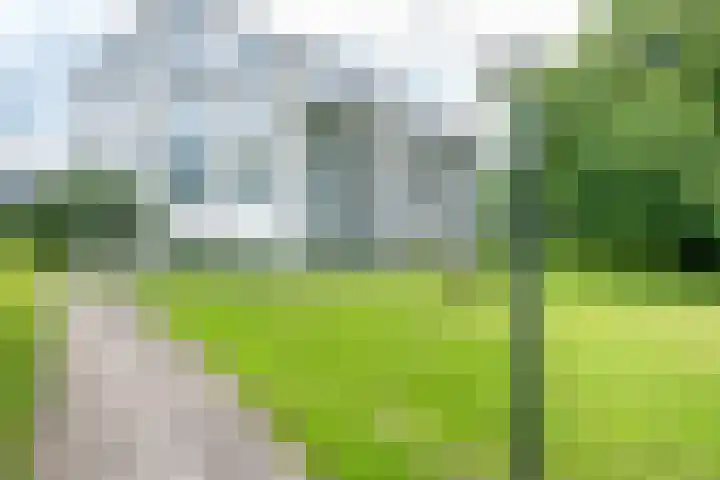 Ravellaan 242 Utrecht thumbnail 43