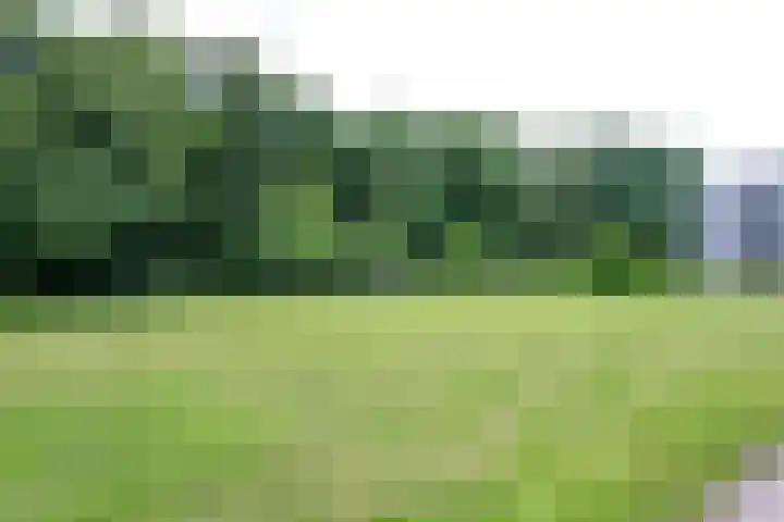 Ravellaan 242 Utrecht thumbnail 44