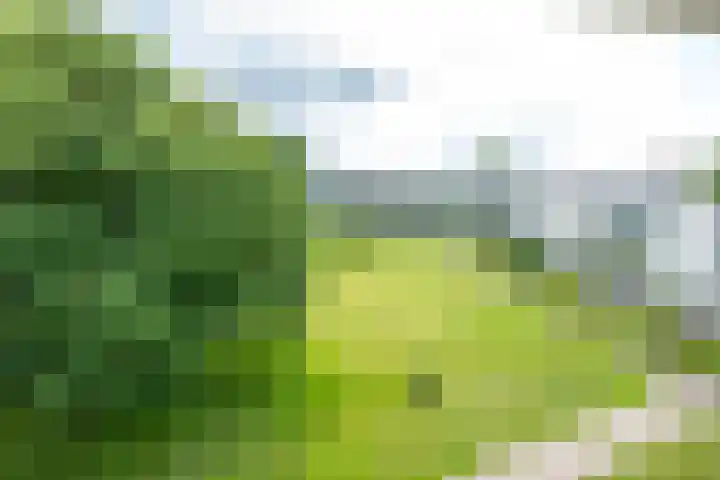 Ravellaan 242 Utrecht thumbnail 6