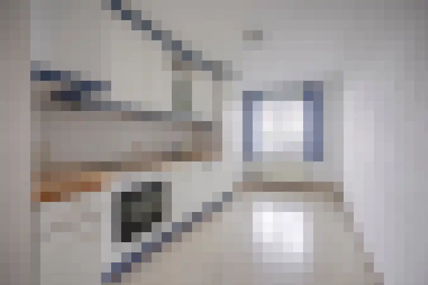 Ravellaan 252 Utrecht thumbnail 15