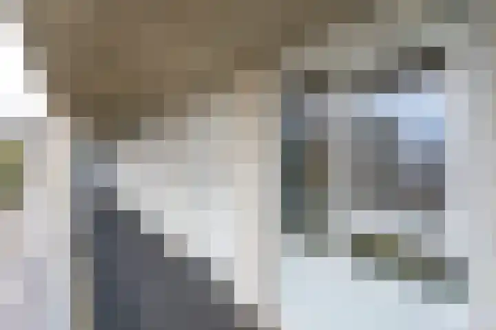 Ravellaan 252 Utrecht thumbnail 23