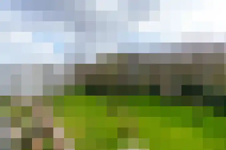 Ravellaan 252 Utrecht thumbnail 29
