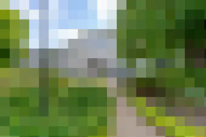 Ravellaan 252 Utrecht thumbnail 31