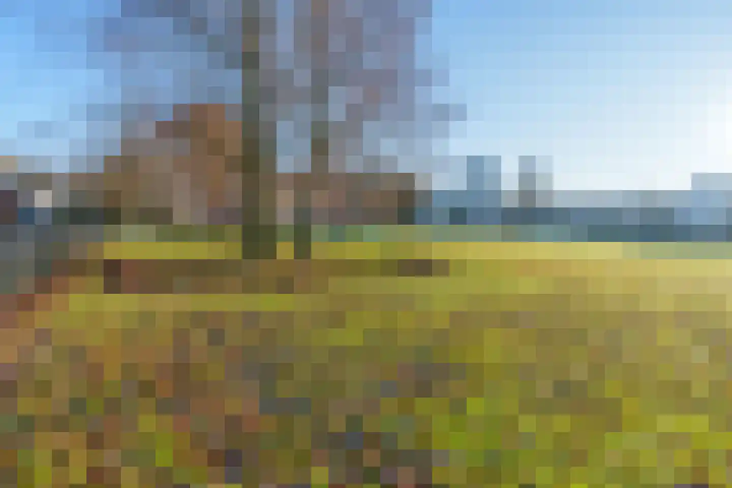 Ravellaan 252 Utrecht thumbnail 34