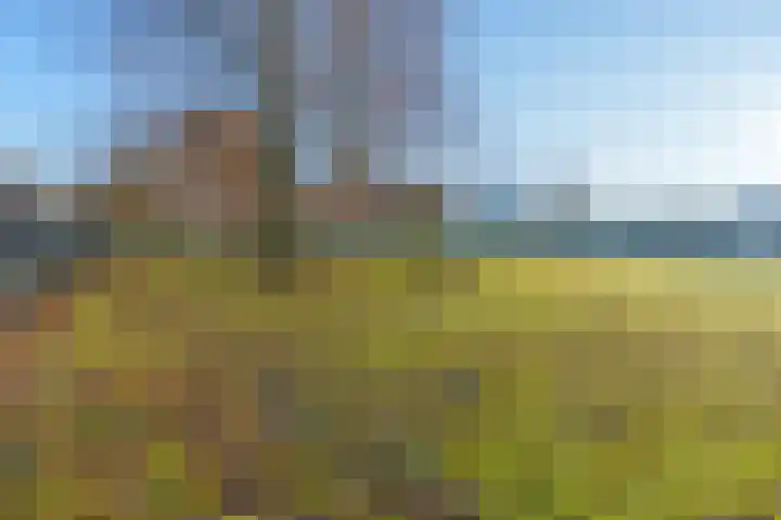 Ravellaan 252 Utrecht thumbnail 34