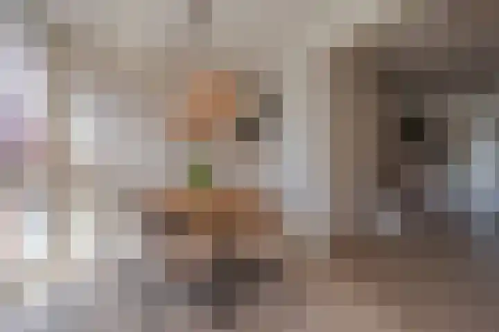 Ravellaan 34 Voorhout thumbnail 12