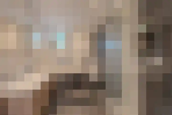 Ravellaan 34 Voorhout thumbnail 23