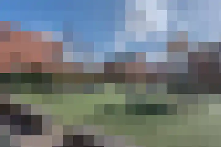 Ravellaan 34 Voorhout thumbnail 41