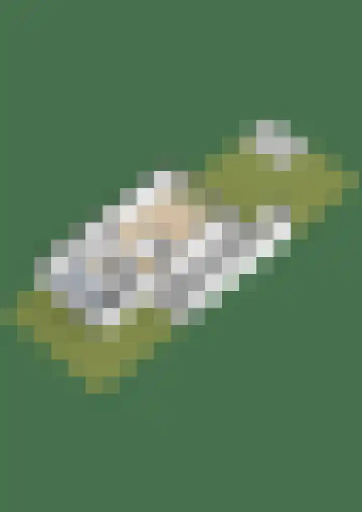 Ravellaan 34 Voorhout thumbnail 52