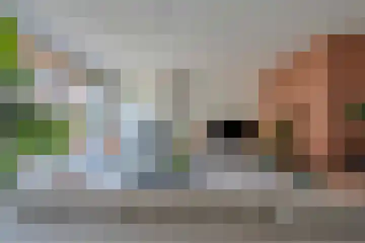 Ravellaan 34 Voorhout thumbnail 8
