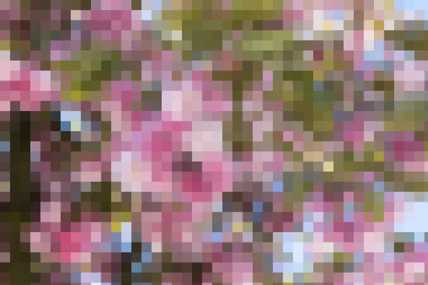 Ravellaan 36 Utrecht thumbnail 26