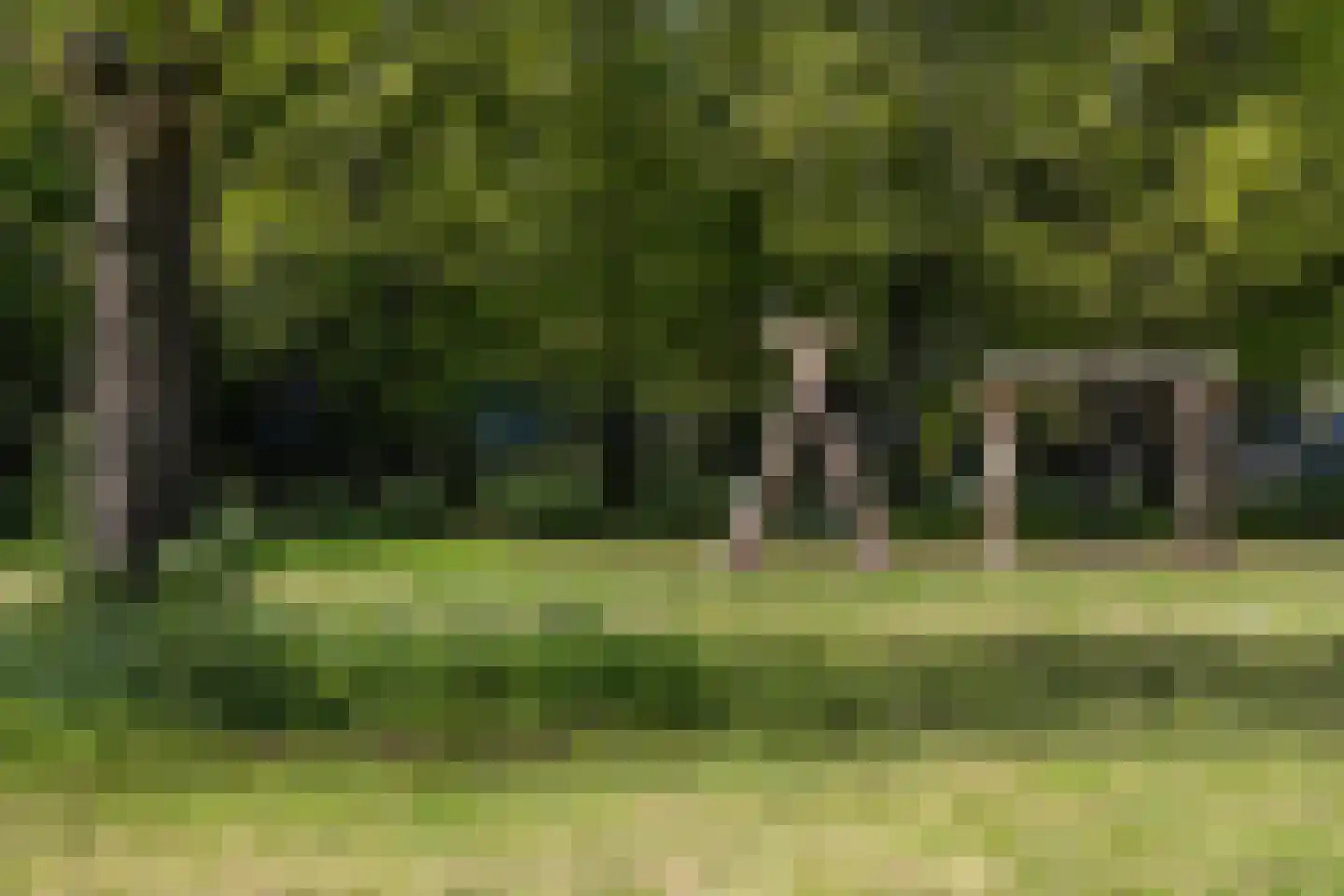 Ravellaan 36 Utrecht thumbnail 27