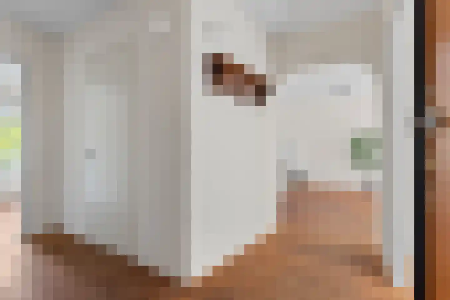 Ravellaan 36 Utrecht thumbnail 4