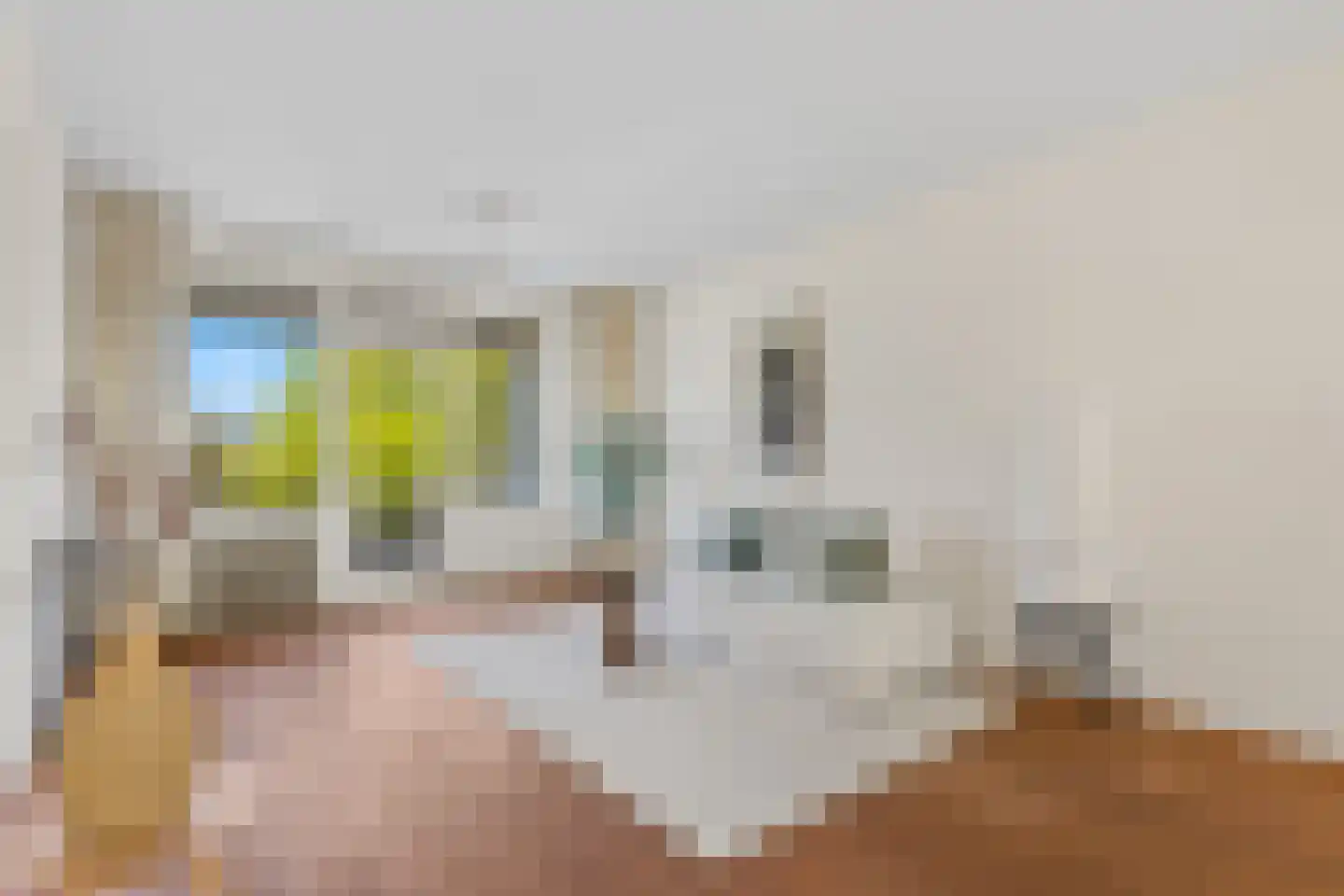 Ravellaan 36 Utrecht thumbnail 6