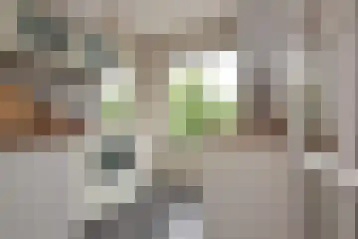 Ravellaan 42 Utrecht thumbnail 14
