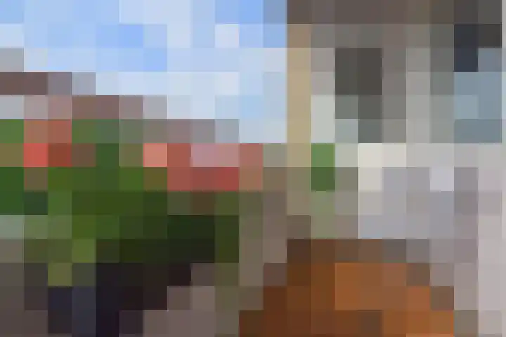 Ravellaan 42 Utrecht thumbnail 26