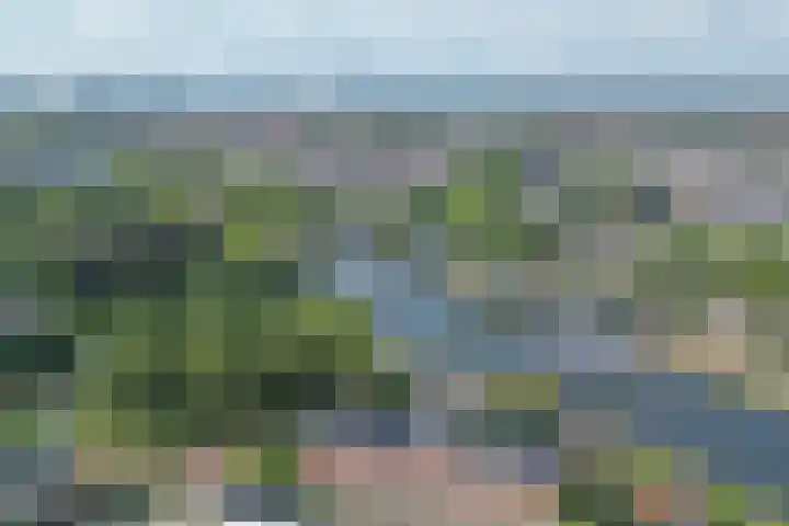 Ravellaan 42 Utrecht thumbnail 31