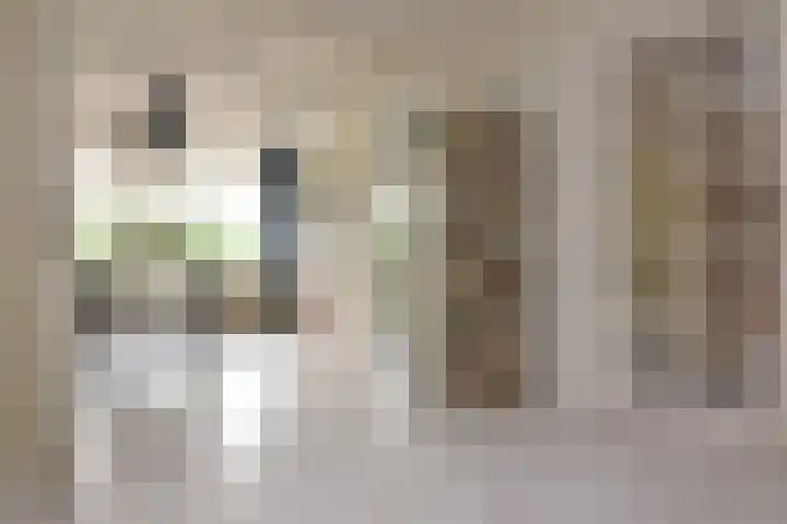 Ravellaan 42 Utrecht thumbnail 8