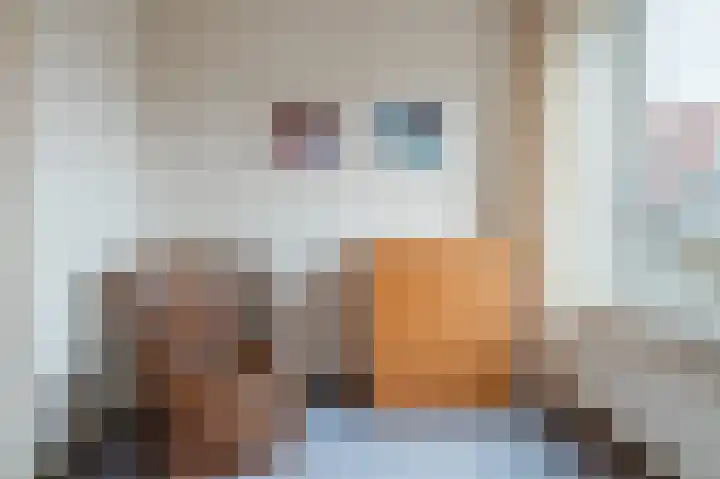 Ravellaan 5 Voorhout thumbnail 23