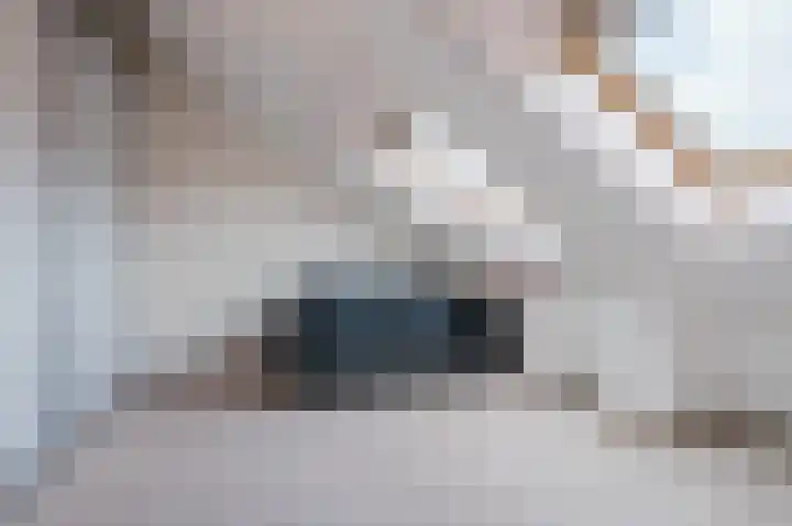 Ravellaan 5 Voorhout thumbnail 28