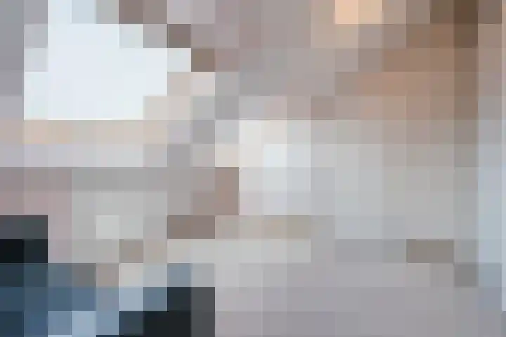 Ravellaan 5 Voorhout thumbnail 29