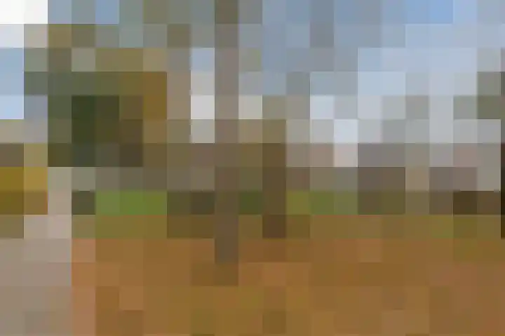 Ravellaan 5 Voorhout thumbnail 42