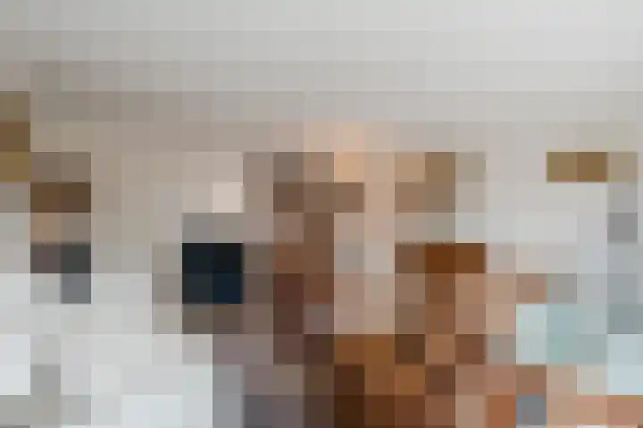 Ravellaan 5 Voorhout thumbnail 6