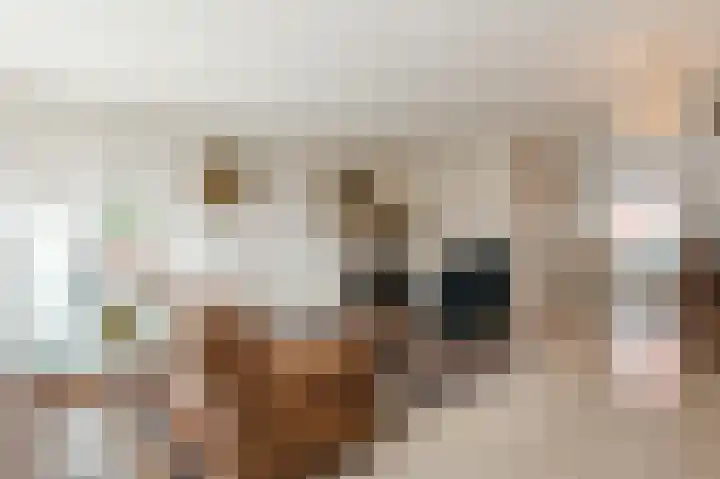 Ravellaan 5 Voorhout thumbnail 7