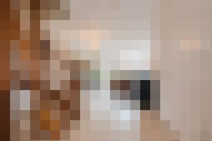 Ravellaan 5 Voorhout thumbnail 8