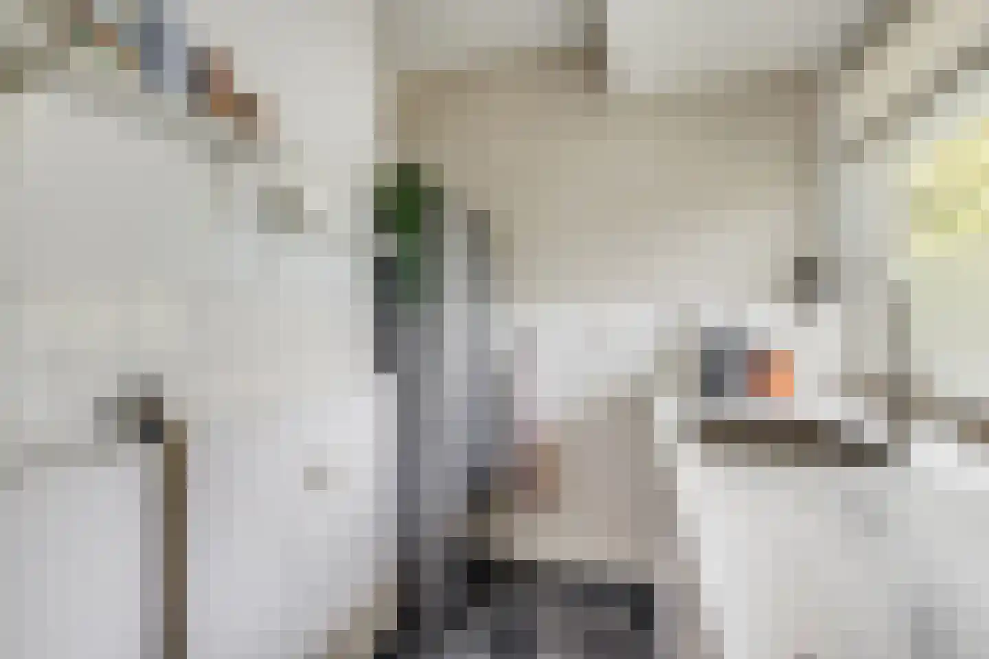 Ravellaan 61 Utrecht thumbnail 21