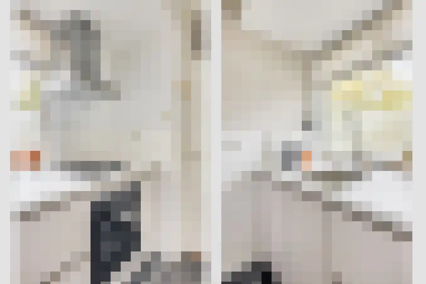 Ravellaan 61 Utrecht thumbnail 23