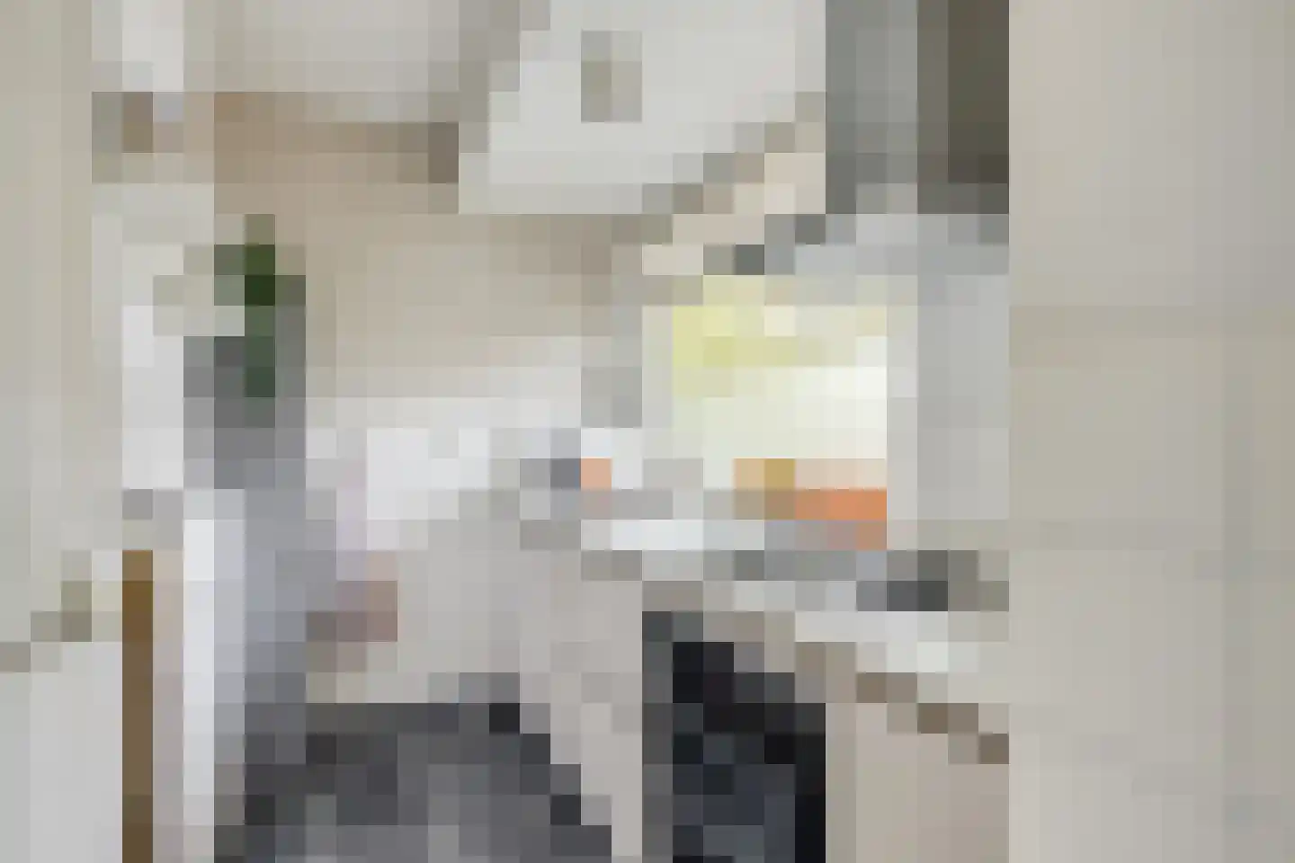 Ravellaan 61 Utrecht thumbnail 4
