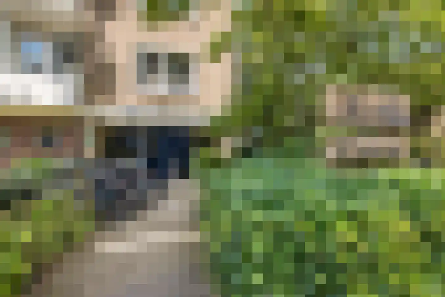 Ravellaan 61 Utrecht thumbnail 7