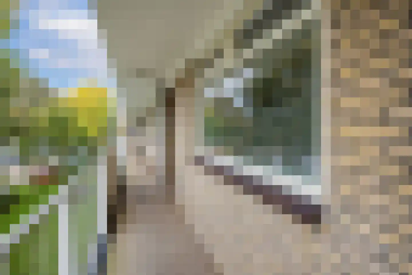 Ravellaan 61 Utrecht thumbnail 9