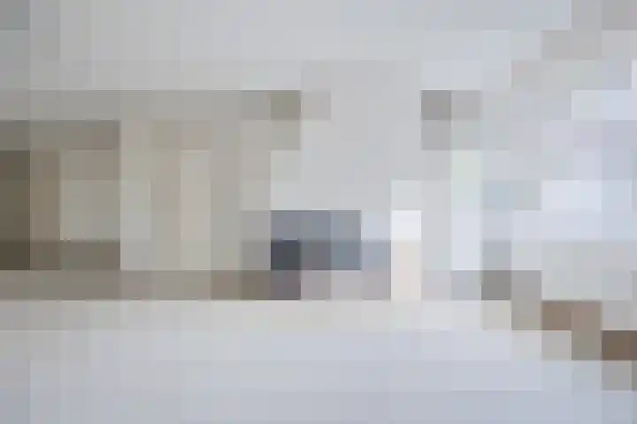 Ravellaan 7 Tilburg thumbnail 11
