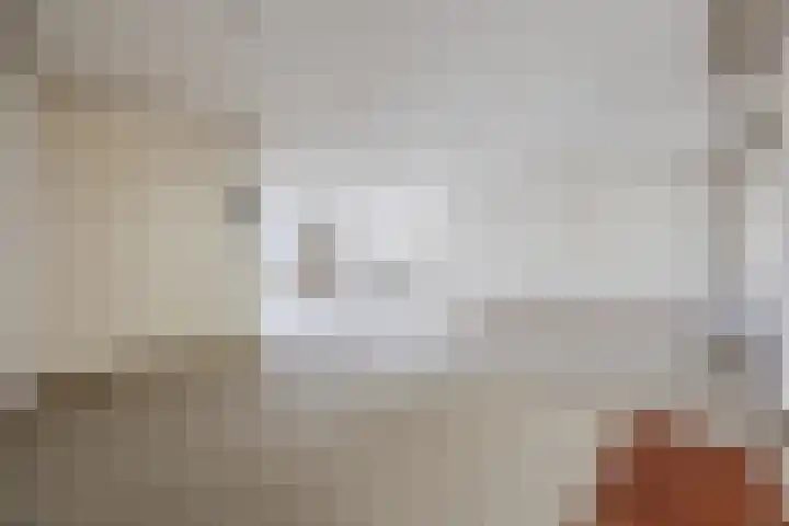 Ravellaan 7 Tilburg thumbnail 12