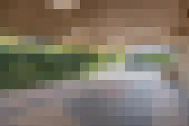 Ravellaan 7 Tilburg thumbnail 35