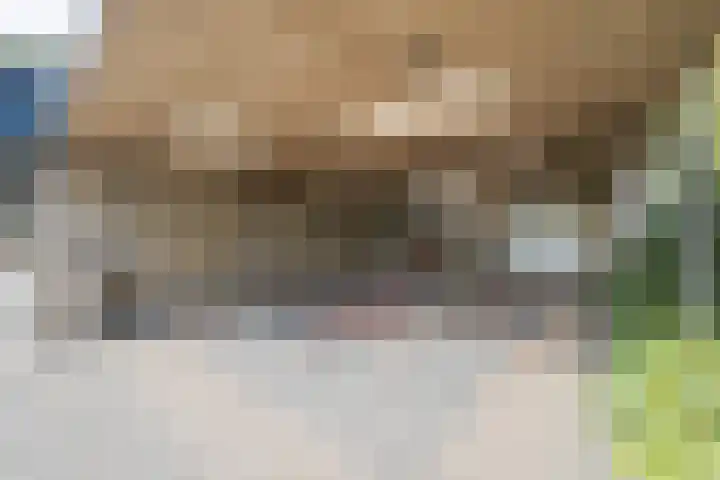 Ravellaan 7 Tilburg thumbnail 36