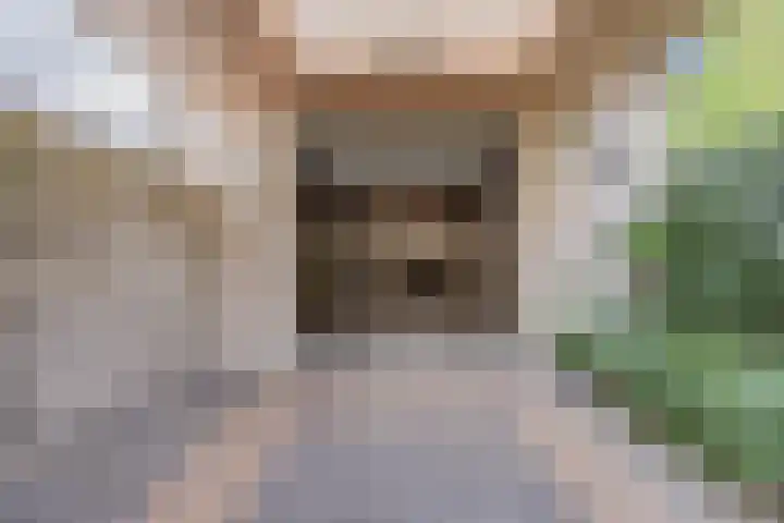 Ravellaan 7 Tilburg thumbnail 37