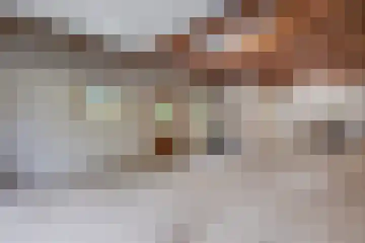 Ravellaan 7 Tilburg thumbnail 38