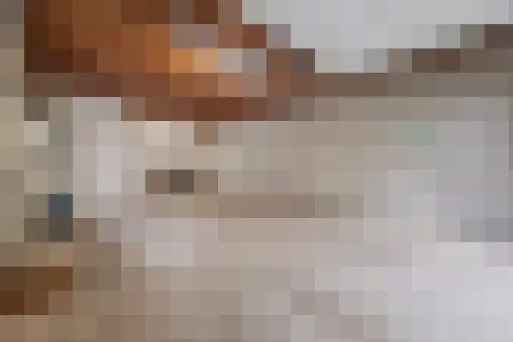 Ravellaan 7 Tilburg thumbnail 39