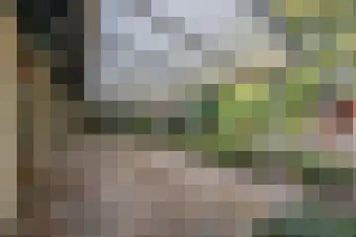 Ravellaan 7 Tilburg thumbnail 41