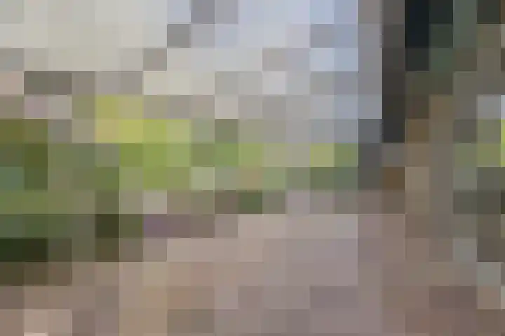 Ravellaan 7 Tilburg thumbnail 42