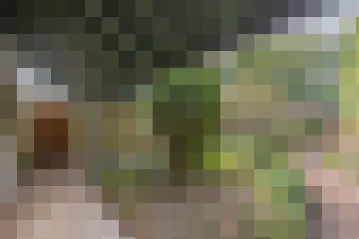 Ravellaan 7 Tilburg thumbnail 43