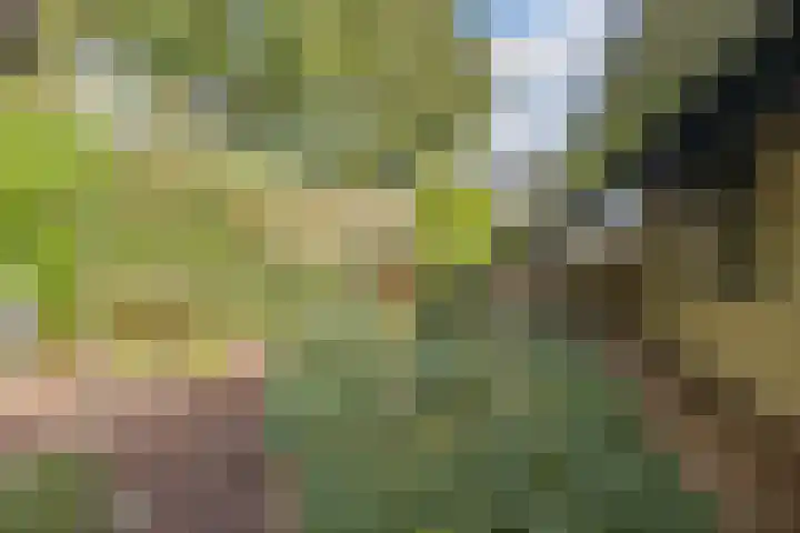 Ravellaan 7 Tilburg thumbnail 44