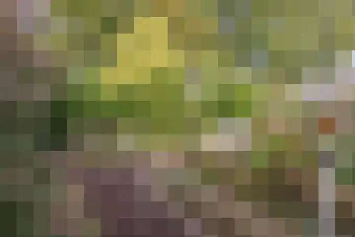 Ravellaan 7 Tilburg thumbnail 45
