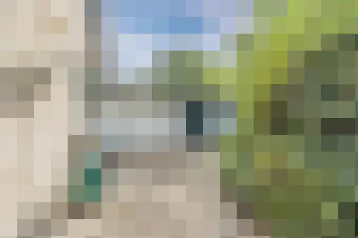 Ravellaan 7 Tilburg thumbnail 48